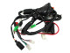 Проводка TTR250Rb  