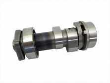 Распредвал 172FMM (CB250D-F)