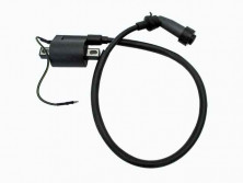 Катушка зажигания 4Т с колпачком 172FMM-3A AVANTIS ENDURO