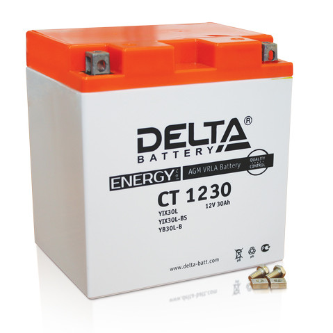 АКБ DELTA  CT 1230 YIX30L (165*125*170)  