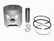 Поршень в сборе SEE Honda Lead-90 d-48 std  