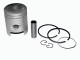 Поршень в сборе SEE Honda Tact AF-16 50сс d41 +0.75  