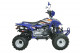 Квадроцикл  Bashan BS150S-2(150 см3) 8.4 л.с. (1Р57QMJ, 4Т) спортивный  